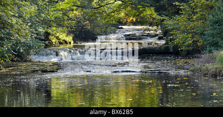 La fin de l'été les réflexions dans Bishopdale Beck, Yorkshire du Nord Banque D'Images