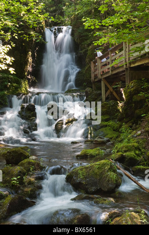 Dickson Falls dans le parc national Fundy, Nouveau-Brunswick, Canada, Amérique du Nord Banque D'Images