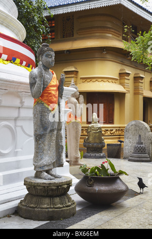 Statues at temple Gangaramaya, jardins de cannelle, Colombo, Sri Lanka, Asie Banque D'Images