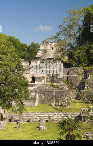 Grande Place, l'Acropole Nord, Tikal, Site du patrimoine mondial de l'UNESCO, le parc national de Tikal, Peten, Guatemala, Amérique Centrale Banque D'Images