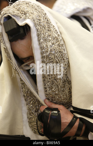 Dans le Juif orthodoxe Belz Synagogue, Jérusalem, Israël, Moyen Orient Banque D'Images