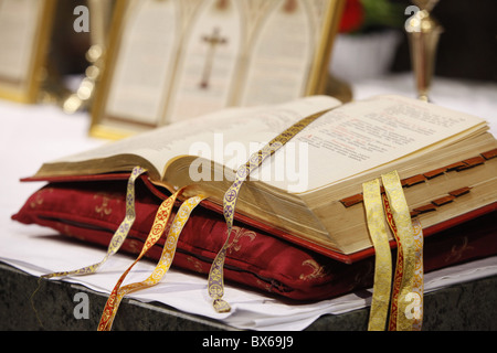 Messe dans la cathédrale de Chartres au cours du pèlerinage catholique traditionaliste, Chartres, Eure-et-Loir, France, Europe Banque D'Images