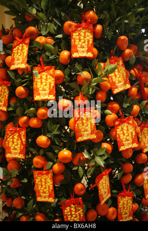 La mandarine bonne chance symboles, décoration du Nouvel An Chinois, Macao, Chine, Asie Banque D'Images