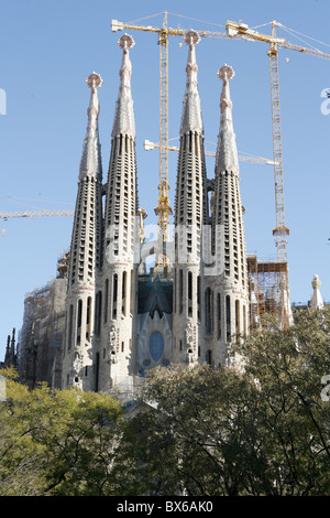 Les tours et les clochers de la Sagrada Familia, UNESCO World Heritage Site, Barcelone, Catalogne, Espagne, Europe Banque D'Images