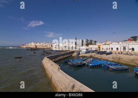 Bateaux de pêche dans la ville côtière d'Essaouira, Maroc, Afrique du Nord, Afrique Banque D'Images