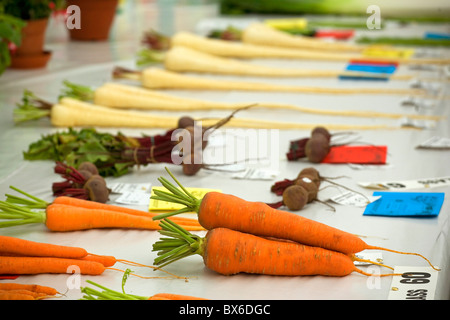 Légumes primés dans un pays Banque D'Images