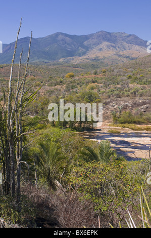 Vue sur le Parc National d'Andohahela, Madagascar, Afrique Banque D'Images