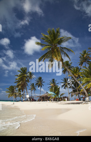 Plage et palmiers sur l'île de chien dans les îles San Blas, Panama, Amérique Centrale Banque D'Images