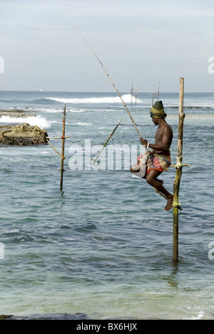 Échasses traditionnelles pêcheur, Koggala, près de Weligama, côte sud du Sri Lanka, en Asie Banque D'Images