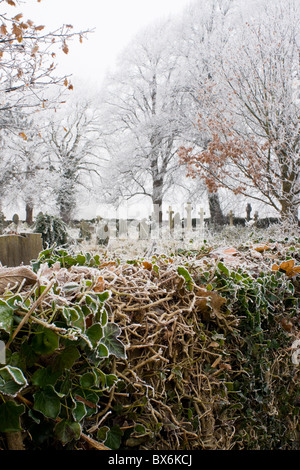 Une journée hivernale glacielle, Winterbourne South Glos UK Banque D'Images