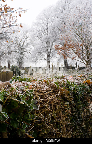 Une journée hivernale glacielle, Winterbourne South Glos UK Banque D'Images