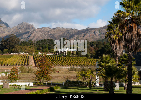 Vin Zorgvliet Estate, Stellenbosch, Province du Cap, Afrique du Sud, l'Afrique Banque D'Images