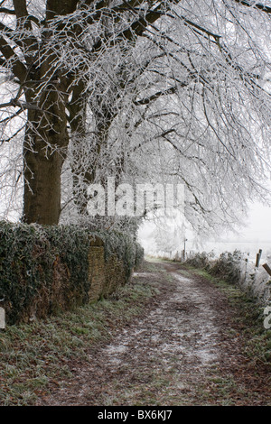 Une journée hivernale glacielle, Winterbourne South Glos UK Banque D'Images