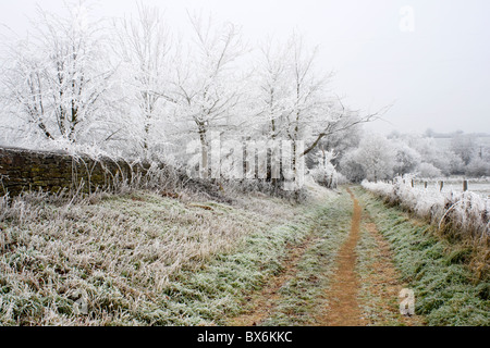 Une journée hivernale glacielle, Winterbourne South Glos UK Banque D'Images