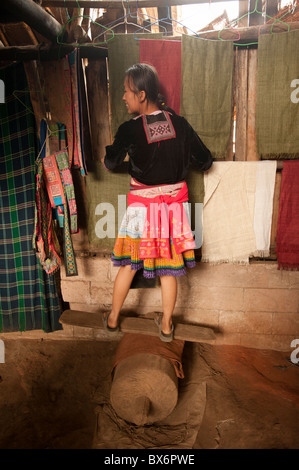 Mae Rim, District de la province de Chiang Mai, Thaïlande, Asie du Sud, Asie Banque D'Images