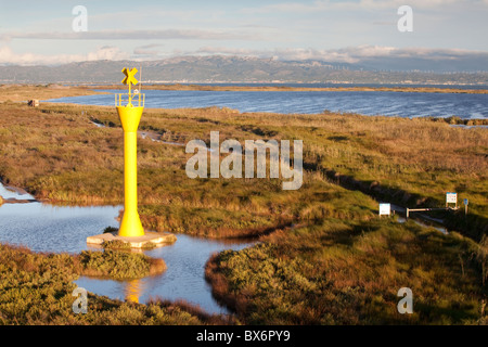 El Le Garxal, Illa de Sant Antoni, Parc Naturel du Delta de l'Ebre, Tarragona, Espagne Banque D'Images