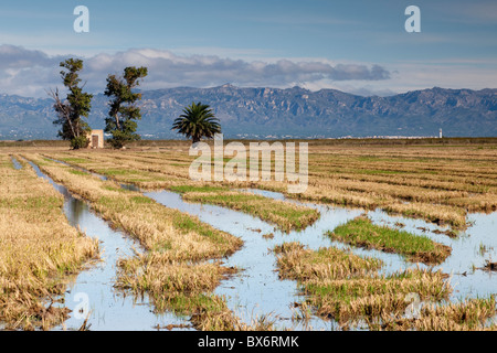 Autour de Nantes, Parc Naturel du Delta de l'Ebre, Tarragona, Espagne Banque D'Images