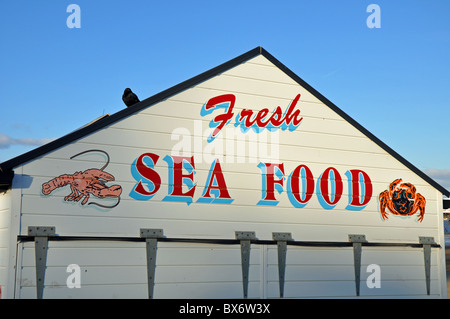 Weston super Mare, Somerset, Angleterre : blocage de fruits de mer sur la plage Banque D'Images