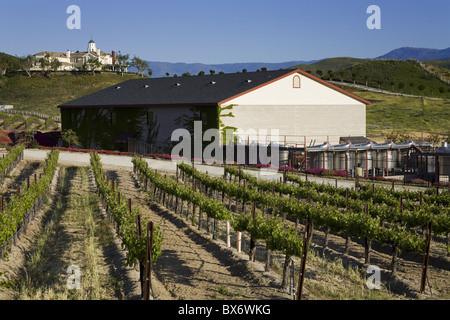 Leonesse Winery, Temecula, Californie, États-Unis d'Amérique, Amérique du Nord Banque D'Images