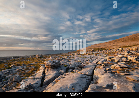 Lapiez et blocs erratiques dans le Burren, près de Tête Noire, Co Clare, Ireland Banque D'Images