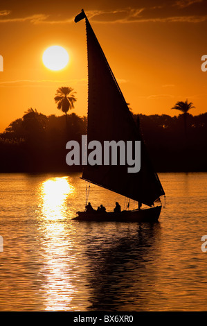 Une magnifique et belle image d'un voilier traditionnel égyptien appelé une felouque sur le Nil au coucher du soleil avec des palmiers derrière Banque D'Images