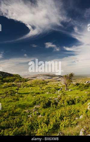 À l'égard de Slieve Roe Mullaghmore, le Burren, Co Clare, Ireland Banque D'Images