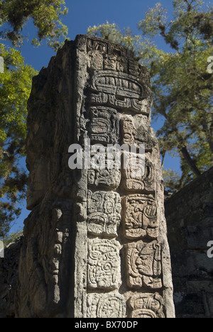 Les glyphes mayas sur le côté de la Stèle P, cour de l'Ouest, Parc archéologique de Copan, Copan, Site du patrimoine mondial de l'UNESCO, Honduras Banque D'Images