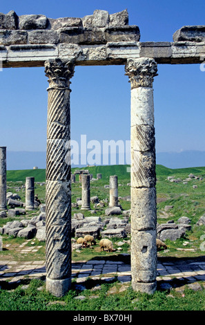 Colonnes romaines à Apamée, un ancien site archéologique près de Qalat al Madiq, la Syrie. Banque D'Images