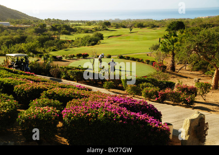 Les gens jouer au golf au Club de Golf de Cabo Real à San Jose del Cabo sur l'océan Pacifique à Baja, au Mexique Banque D'Images