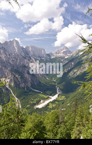 Alpes Juliennes à l'été, la Slovénie Banque D'Images