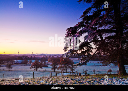 Lever du soleil d'hiver de Coleshill vers Westmill Wind Farm, Oxfordshire, England, UK Banque D'Images