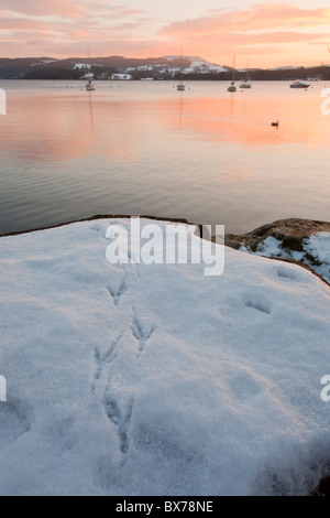 Impressions d'oiseaux dans la neige sur les rives du lac Windermere, Lake District, UK. Banque D'Images