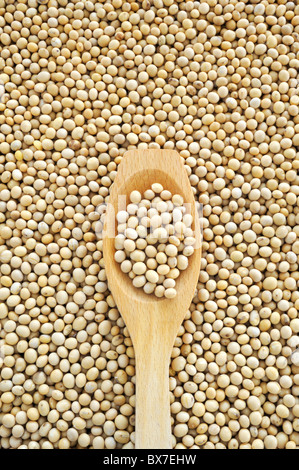 Cuillère en bois séché et soja - Détail - d'en haut Banque D'Images