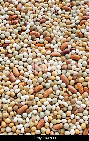 Pouls mixte - lentilles, pois, soja, haricots - contexte Banque D'Images
