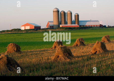 Photo panoramique hay field avec grange et silos en arrière-plan Banque D'Images