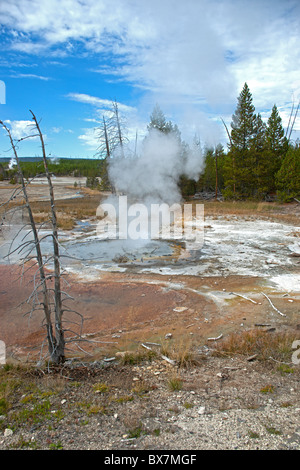 Old Faithful Banque D'Images