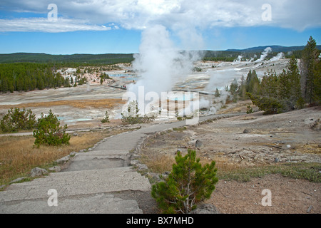 Old Faithful Banque D'Images