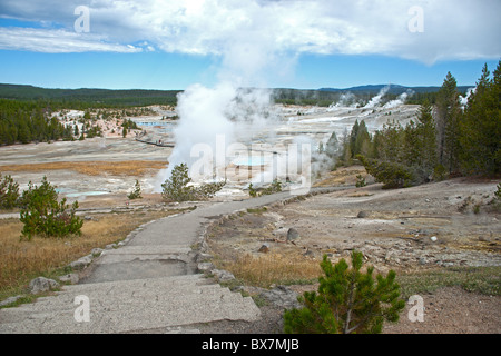 Old Faithful Banque D'Images