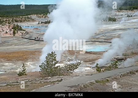 Old Faithful Banque D'Images