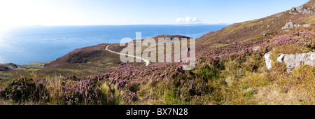 Une vue panoramique de Heather sur le Mull of Kintyre, ARGYLL & BUTE, Ecosse - Islay et Jura sont visibles en arrière-plan Banque D'Images