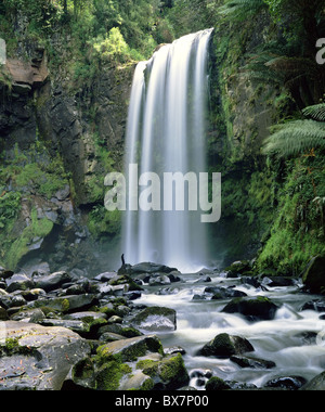 Une agréable Hopetoun falls au coeur du grand Parc National d'Otway Banque D'Images