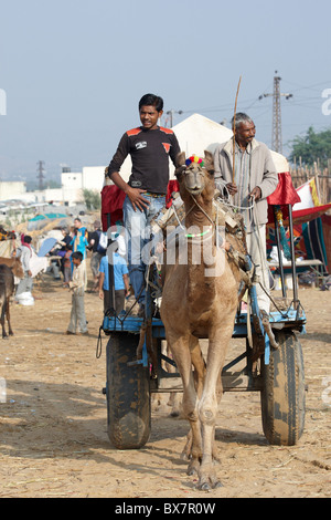 Deux hommes indiens en chariot chameau circonscription Banque D'Images