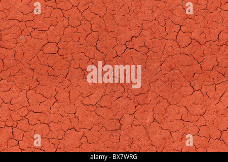 Surface texturée rouge fissuré, fond parfaitement raccordable Banque D'Images