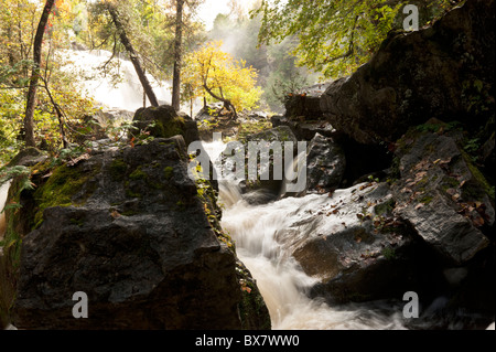 Mélanger les morceaux de calcaire - accroche avec arbres - sont entourés par le bruit de l'eau blanche d'Inglis Falls. Banque D'Images
