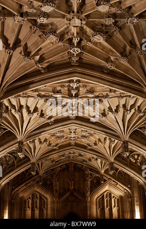 Le plafond à l'Université d'Oxford's Divinity School, avec lierne vaulting dans le style perpendiculaire. Banque D'Images