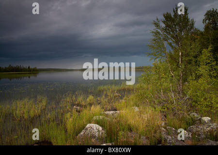 Tempête à Jerisjärvi lac, Parc National de Pallas-Yllästunturi, Laponie, Finlande Banque D'Images