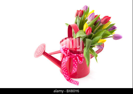 Bouquet de tulipes colorées en rose arrosoir Banque D'Images