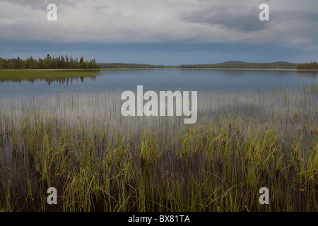 Tempête à Jerisjärvi lac, Parc National de Pallas-Yllästunturi, Laponie, Finlande Banque D'Images