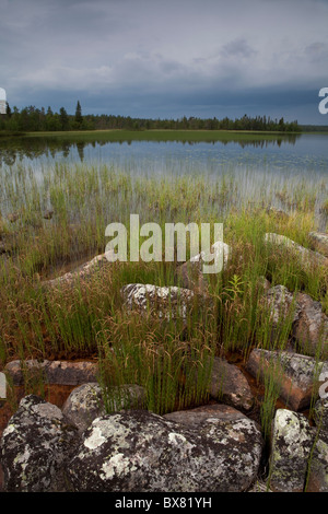 Tempête à Jerisjärvi lac, Parc National de Pallas-Yllästunturi, Laponie, Finlande Banque D'Images