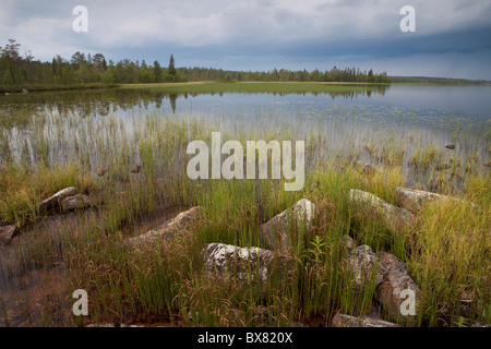 Tempête à Jerisjärvi lac, Parc National de Pallas-Yllästunturi, Laponie, Finlande Banque D'Images